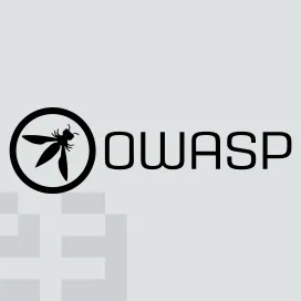 Open web application security project owasp